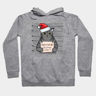 I Knocked Over the Christmas Tree! - Angry Christmas Cat Hoodie